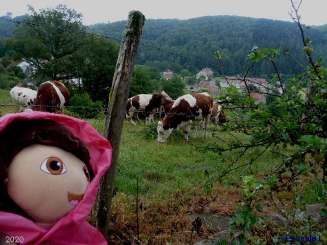 Gite Rural Les Maires D'Avaux Saint-Bresson Экстерьер фото